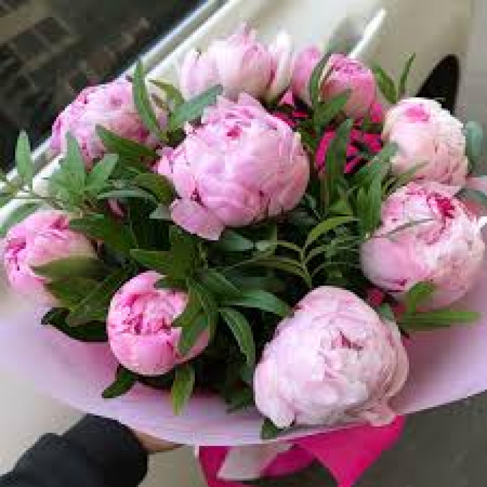 Пион древовидный в Шалкаре