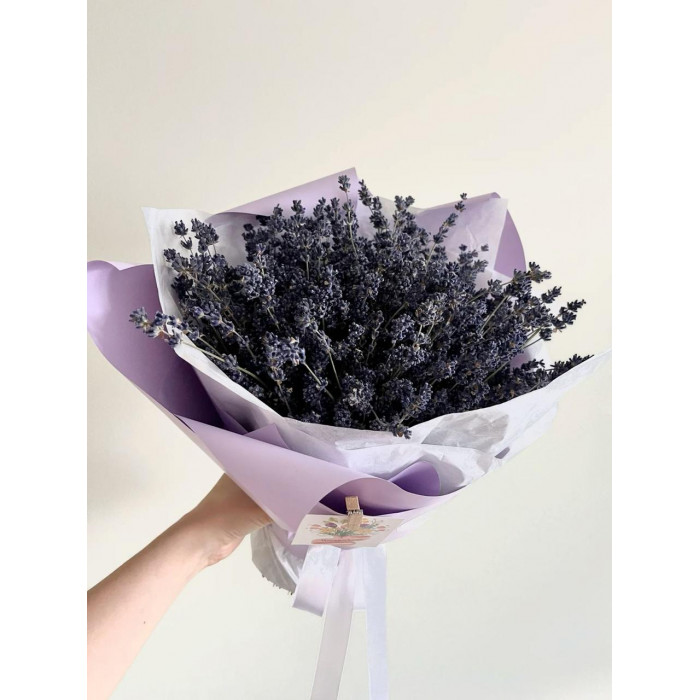 Лаванда в Шалкаре