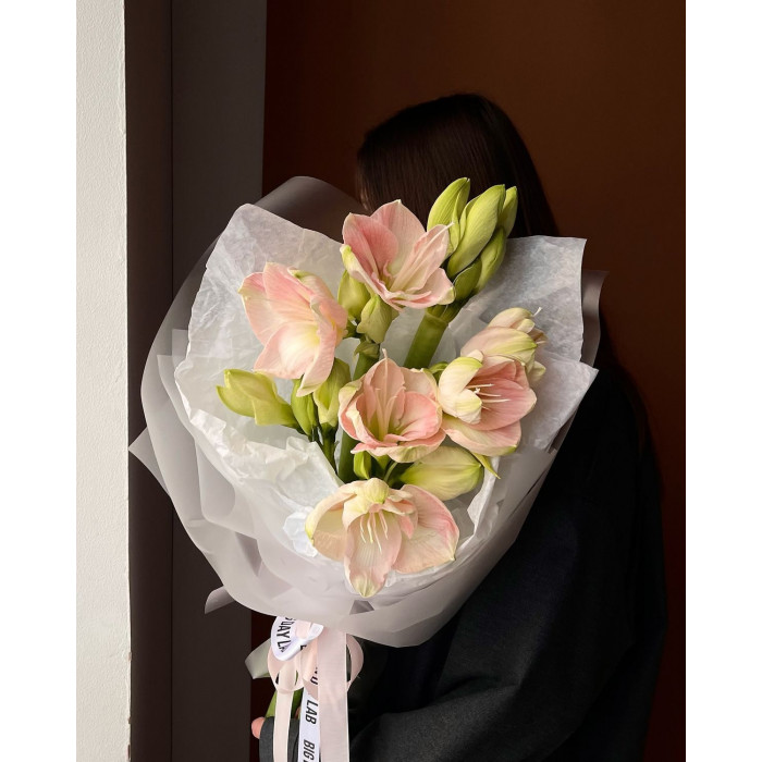 Амариллис в Шалкаре