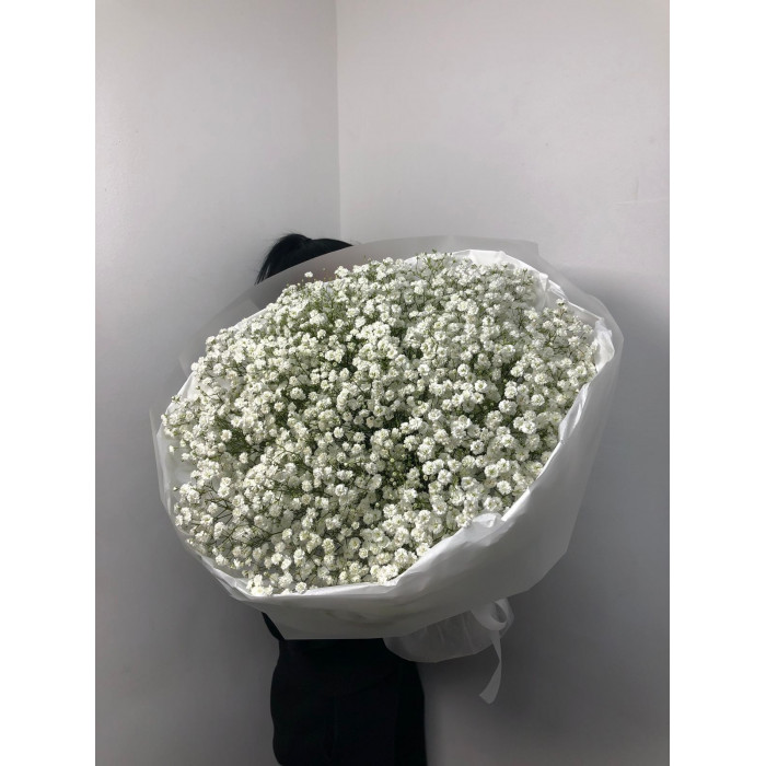 Гипсофила классическая в Шалкаре