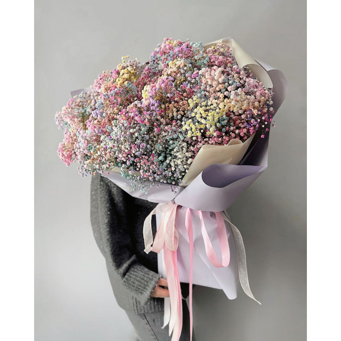 Гипсофила цветная в Шалкаре