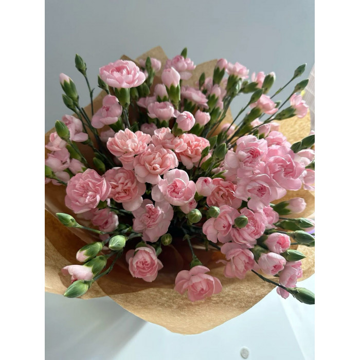 Кустовые гвоздики в Шалкаре