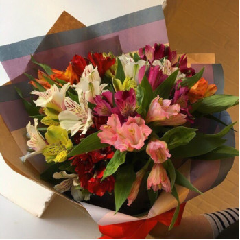 Белый мишка