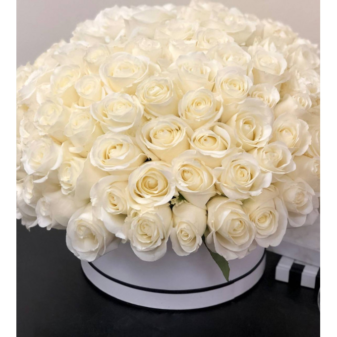 101 белая роза в коробке 101 белая роза в коробке