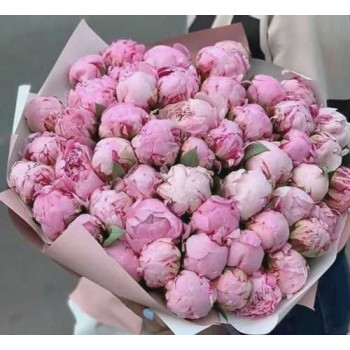 Букет из 101 пиона Букет из 101 пиона