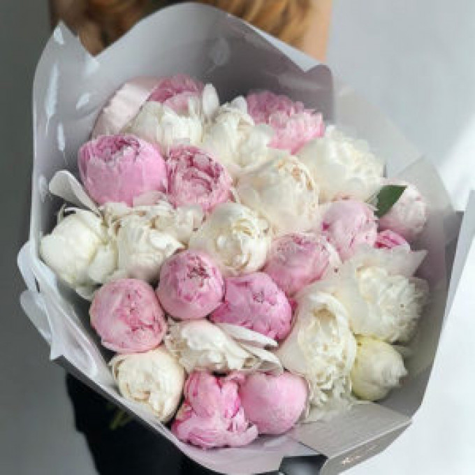 41 пион 41 пион