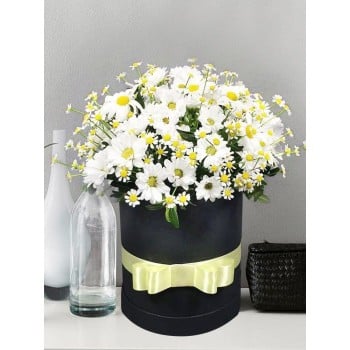 Изящные ромашки в стильной коробке